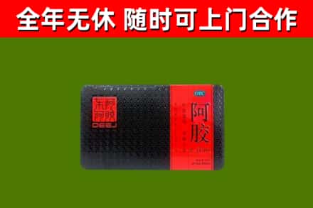锡林郭勒盟回收阿胶